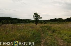 Появилось видео с места разлива нефтепродуктов в Пензенской области
