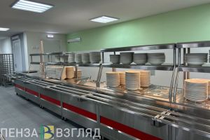 Пензенцы узнали, что не исключена возможность бесплатного питания для старших классов