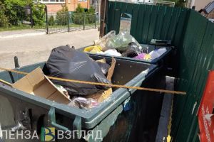 Пензячку оштрафовали за сброс строительного мусора