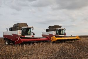 В Пензенской области технические культуры убраны на 79% от плана