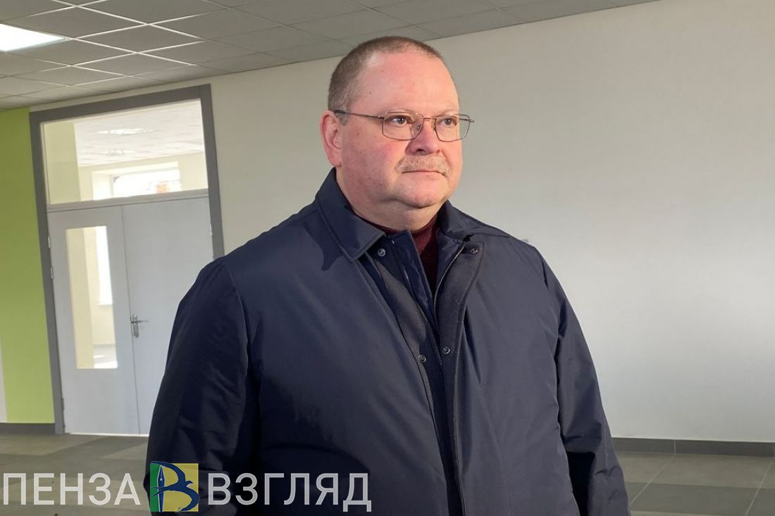 Пензенский губернатор дал оценку инвестиционному потенциалу региона