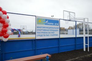 В двух районах Пензенской области открылись новые спортивные площадки