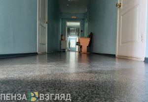 Мельниченко поручил подключить ФАПы Пензенской области к интернету
