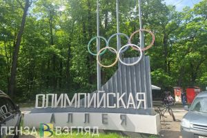 Александр Басенко анонсировал выставку ко Дню народного единства