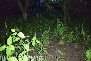 В Пензе пропал 15-летний подросток