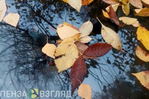 6 ноября пензенцам прогнозируют небольшой дождь