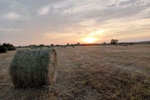 «Круговорот фортуны» с 12 по 15 ноября: названы три знака зодиака