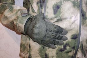 В Госдуме озвучили срок возвращения мобилизованных домой