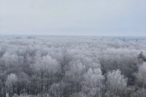 Аномальное похолодание придет в ближайшие дни: синоптик назвал 3 региона России