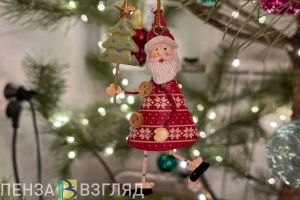 Юные жители Пензенской области смогут поговорить с Дедом Морозом