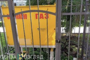 В Госдуме назвали нерешенный вопрос в новом законе о счетчиках в квартирах