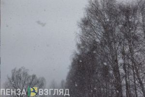 20 ноября пензенцам прогнозируют желтый уровень опасности из-за сильного снега
