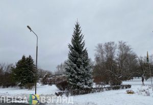 В Никольске обокравшего магазин мужчину нашли по следам на снегу