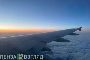 Неполадки в самолете, рост числа заболевших ковидом и установка новогодних елей - новости Пензы и области за 24 ноября
