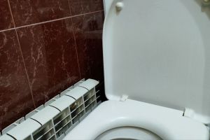 Названо действенное и дешевое средство для очистки унитаза