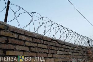 В Пензенской области сбежавший заключенный пытался изнасиловать спящую женщину