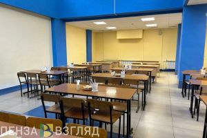 В пензенских школах могут проверить качество питания учеников начальных классов