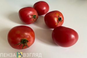Жителей Пензенской области предупредили о повышении цен на овощи