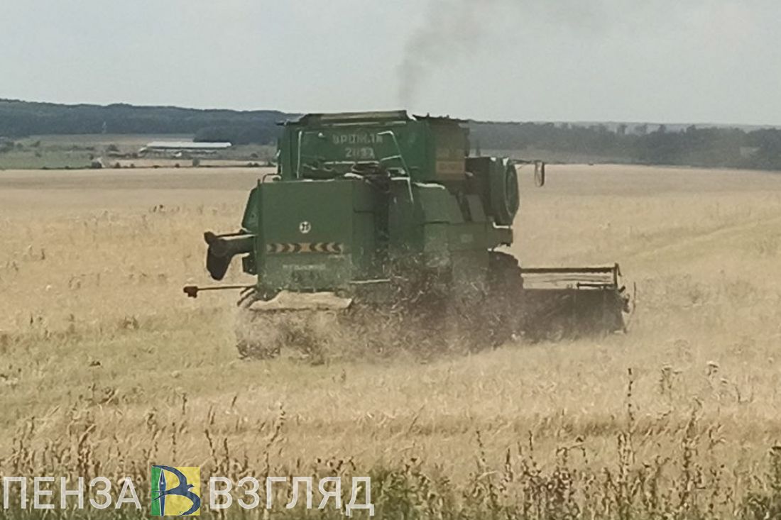 В 2023 году из Пензенской области экспортировали 58 тысяч тонн зерна