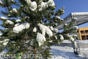 С 6 декабря в Пензенской области ожидается аномально холодная погода