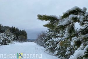 Аномальное похолодание, День добровольца и утонувший мужчина - новости Пензы и области за 5 декабря
