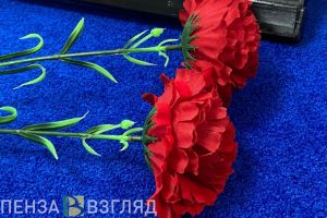 В Пензе отпразднуют День Героев Отечества