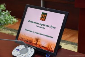 В Пензе действуют 337 детских и молодежных организаций и объединений