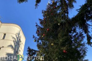 Рост цен на новогодние ели, старт приемной Деда Мороза и сроки строительства цирка — новости Пензы и области за 10 декабря
