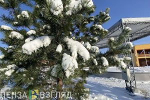 Пензенцам рассказали, как помочь ребенку при обморожении