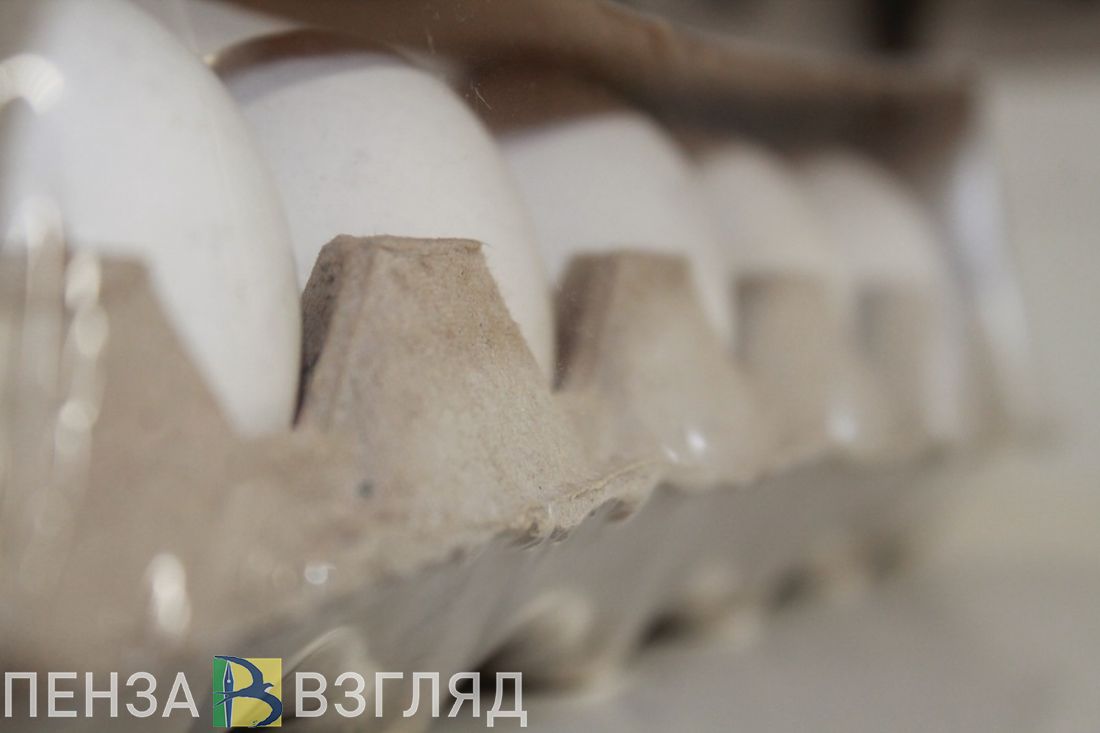 Пензенцам рассказали, когда подешевеют яйца