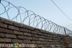 В Сердобске угонщик, застрявший в кустах, сядет в тюрьму