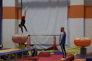 В Пензенской области идет цифровая трансформация отрасли физкультуры и спорта