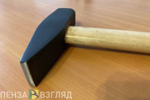 Во всех школах Пензенской области введут обязательные уроки труда