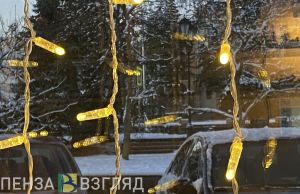 20 декабря пензенцам прогнозируют снег и плюсовую температуру