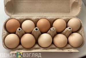 За месяц в Пензенской области яйца подорожали более чем на 28%