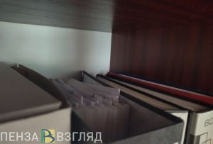 Кадровые изменения, индекс оливье и продление меры пресечения Рамиле Хисамовой: новости Пензы за 20 декабря