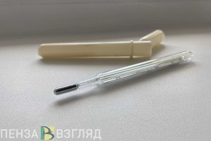 Смерть девочки в поезде, досрочные каникулы, эпидемиологическая ситуация – новости Пензы и области за 21 декабря