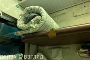 В Пензенской области возбуждено уголовное дело по факту смерти девочки в поезде