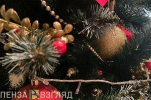 Пензенцы узнали, насколько россиянам важен Новый год