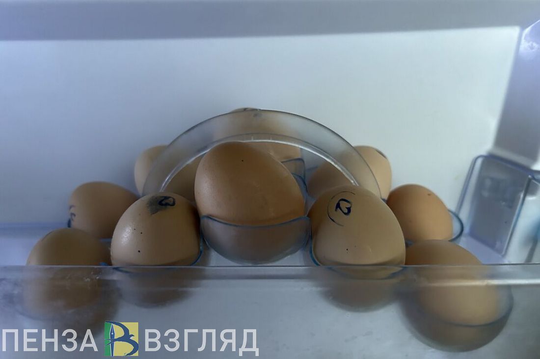 Пензенская область на втором месте в стране по росту цен на яйца