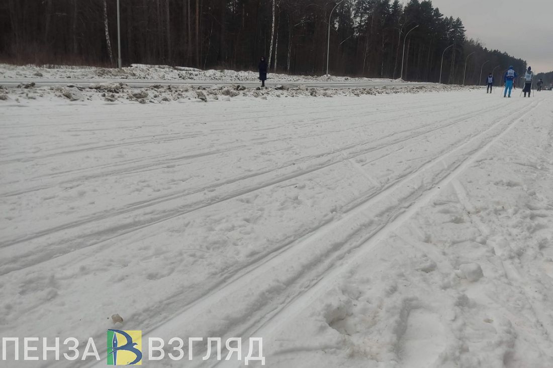 Проектом по строительству горнолыжного спуска в Пензе заинтересовался инвестор