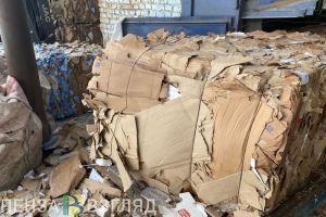 Недорогие яйца, лучший экскурсовод, море мусора: новости Пензы и области за 23 декабря