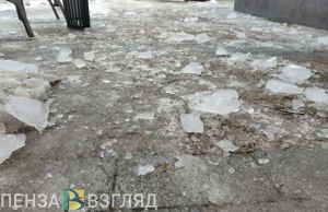 25 декабря в Пензенской области прогнозируется гололедица, снег и дождь