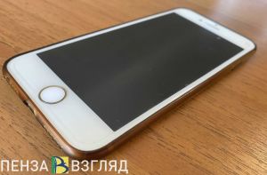 Комаров рассказал о запрете телефонов для пензенских школьников