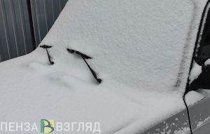 Пензенец отказался помочь водителю вытащить машину из снега, а затем обокрал его