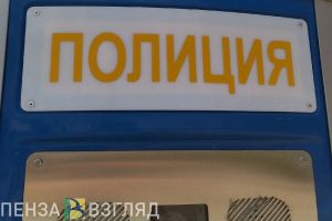 Житель Пензенской области хотел вернуть любимую с помощью ложного доноса