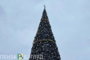 Погода в новогоднюю ночь, бешенство в квартире, подарки детям от губернатора – новости Пензы и области за 29 декабря