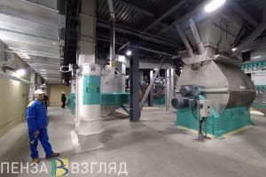 Топ-5 экономических явлений 2023 года в Пензенской области