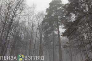 Температура ниже нормы и снегопады ожидаются в регионах Поволжья