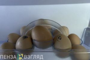 Смертельный пожар, цены на яйца, строительство ФОКа – новости Пензы и области за 5 января